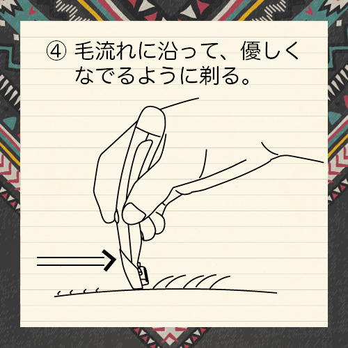 ④毛流れに沿って、優しくなでるように剃ってください。